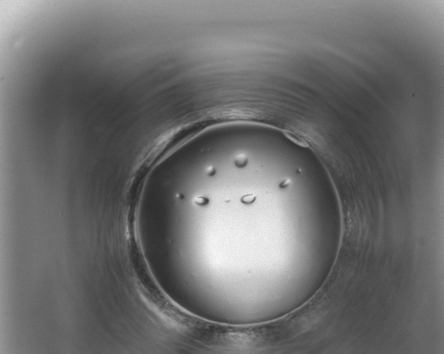 X0000064730302200602131257