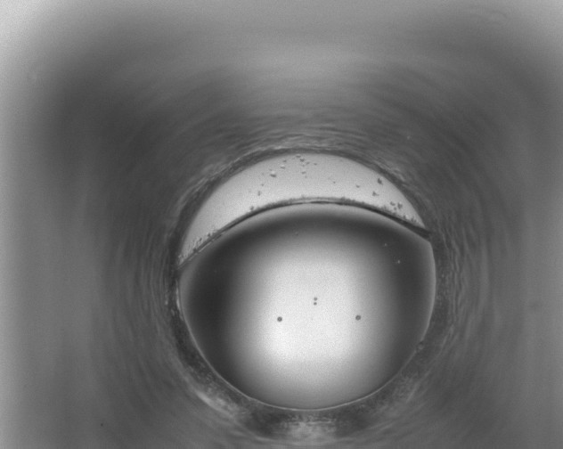 X0000064730303200602131257