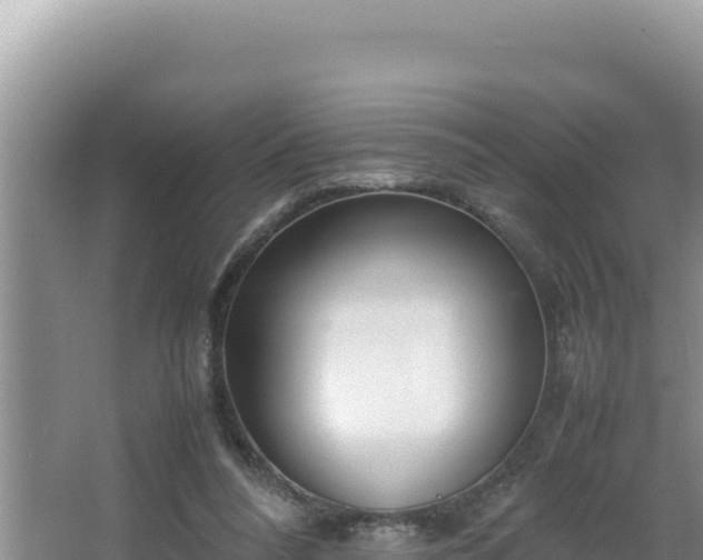 X0000064730304200602131257