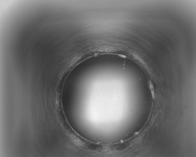 X0000064730305200602131257