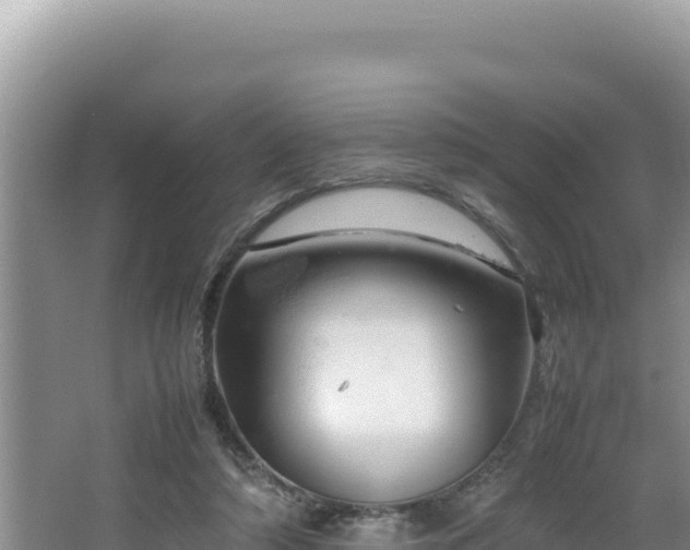 X0000064730306200602131257