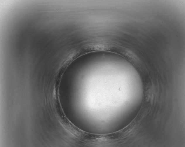 X0000064730310200602131257