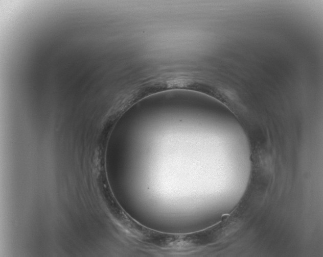 X0000064730311200602131257