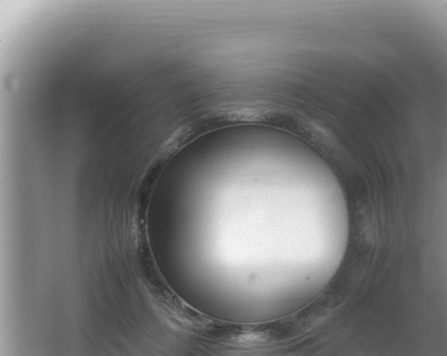 X0000064730312200602131257