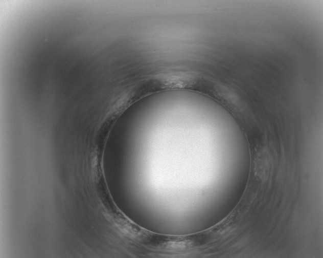 X0000064730314200602131257