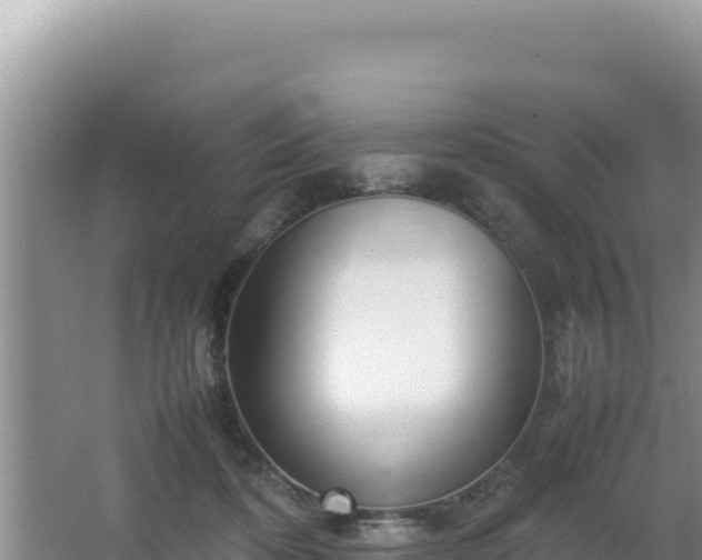 X0000064730316200602131257