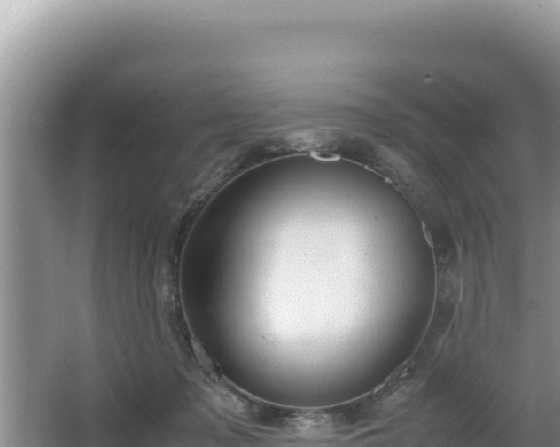 X0000064730317200602131257