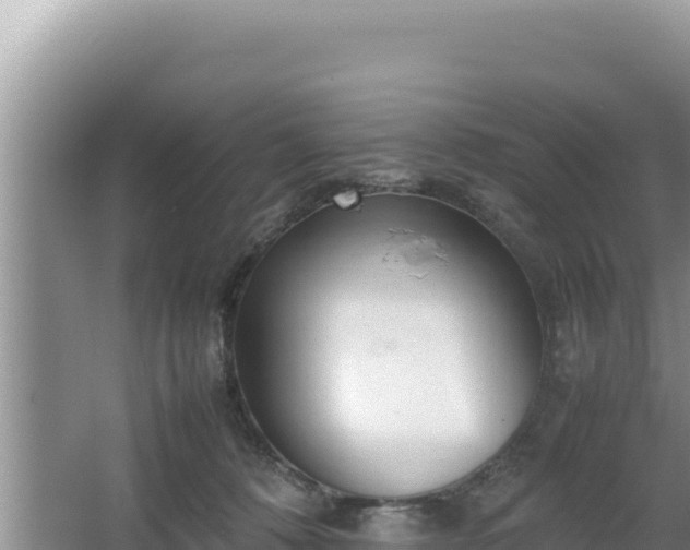 X0000064730320200602131257