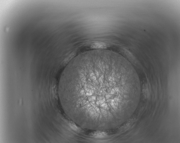 X0000064730322200602131257