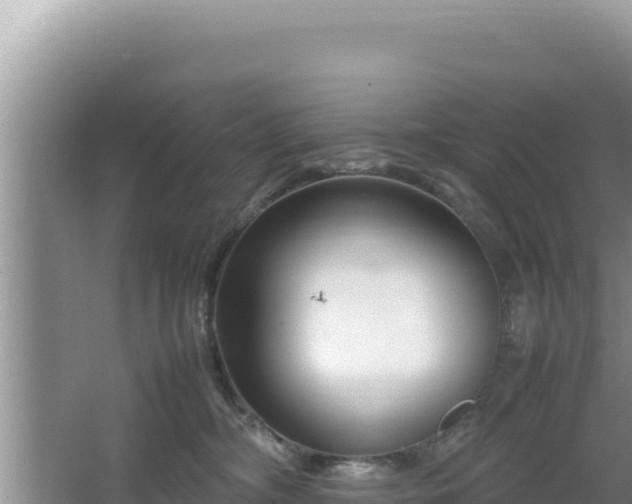 X0000064730326200602131257