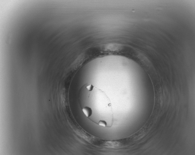 X0000064730328200602131257