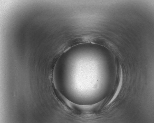 X0000064730329200602131257