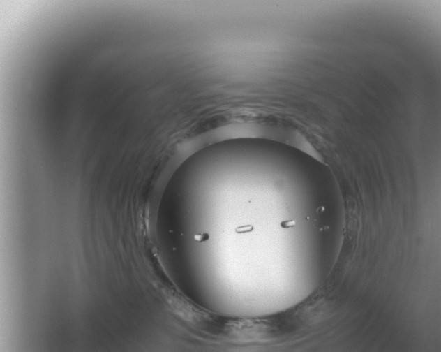 X0000064730331200602131257