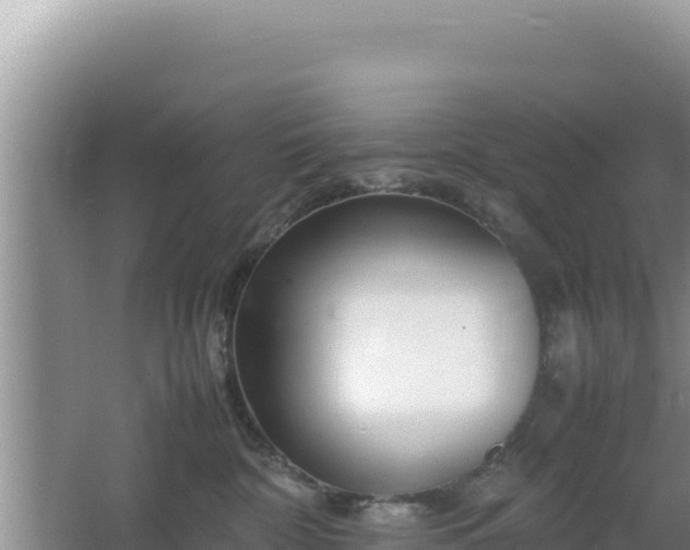 X0000064730332200602131257