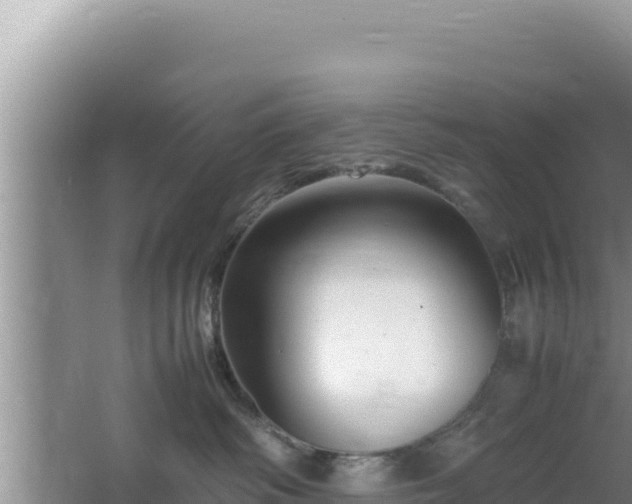 X0000064730334200602131256