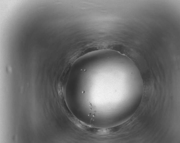 X0000064730335200602131256