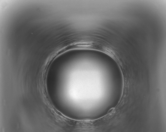 X0000064730337200602131256