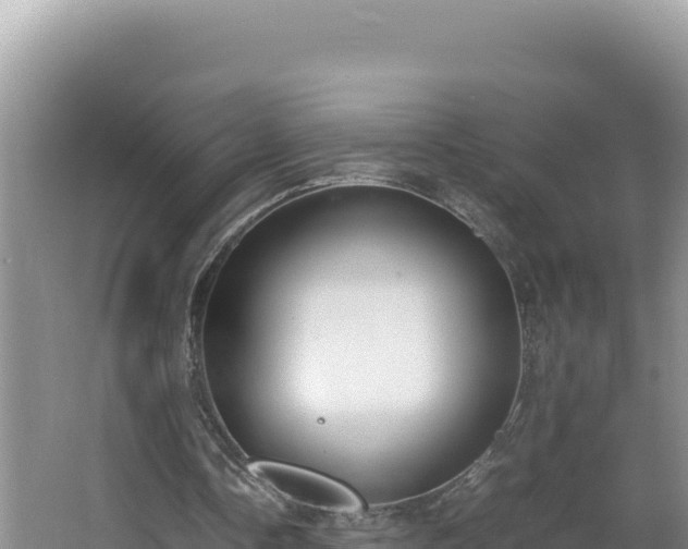 X0000064730338200602131256