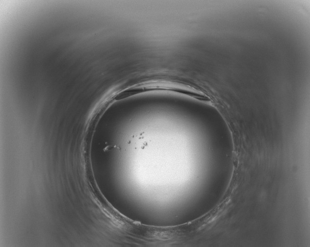 X0000064730341200602131256