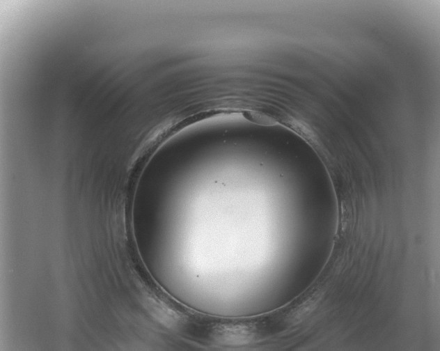 X0000064730349200602131256