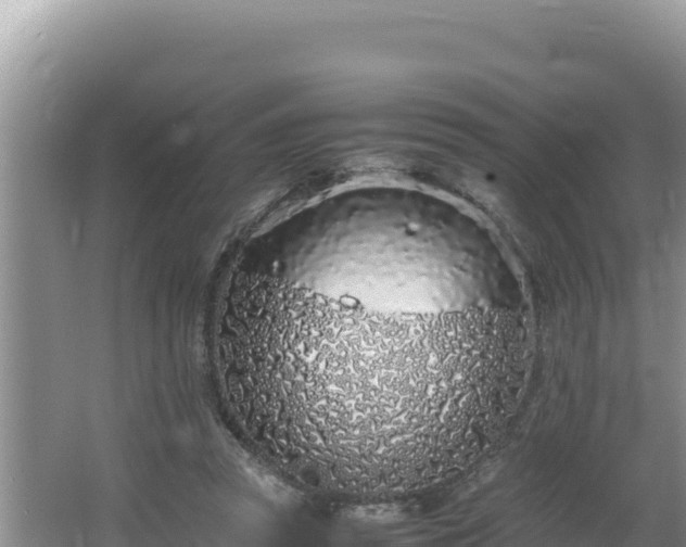 X0000064730353200602131256