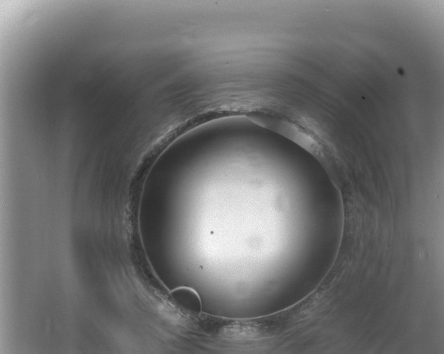 X0000064730354200602131256