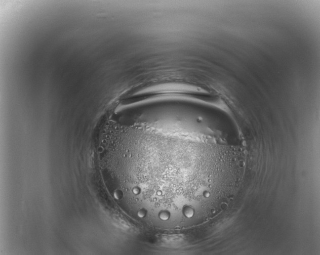 X0000064730355200602131256