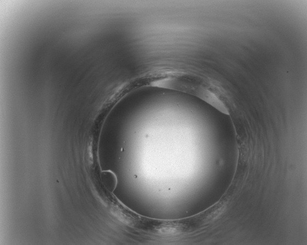 X0000064730358200602131256