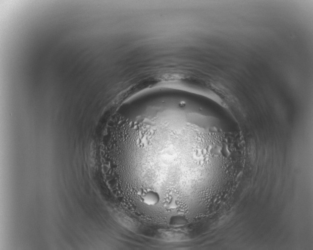 X0000064730359200602131256