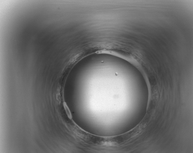 X0000064730360200602131256