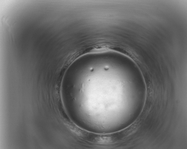 X0000064730361200602131256