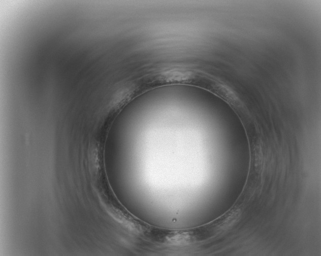 X0000064730362200602131256