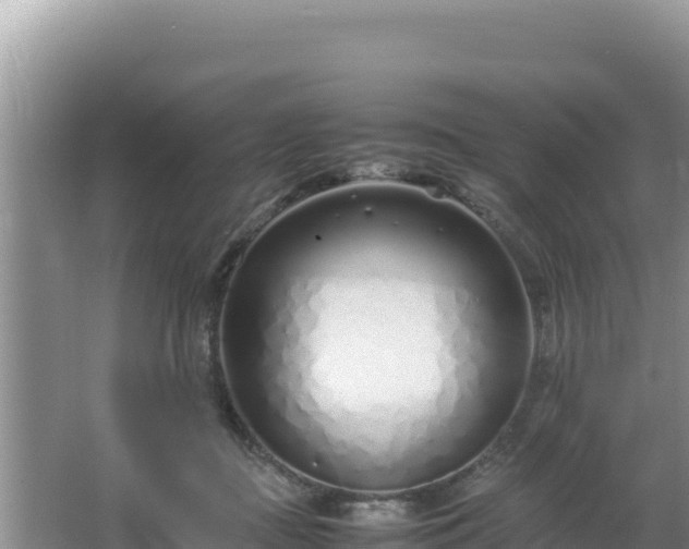 X0000064730363200602131256