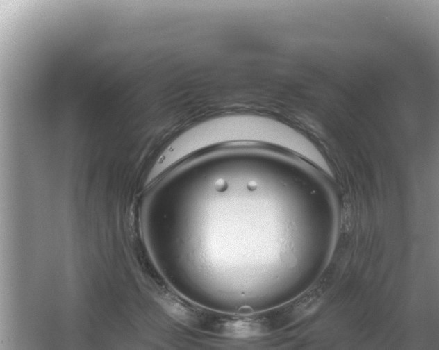 X0000064730365200602131256