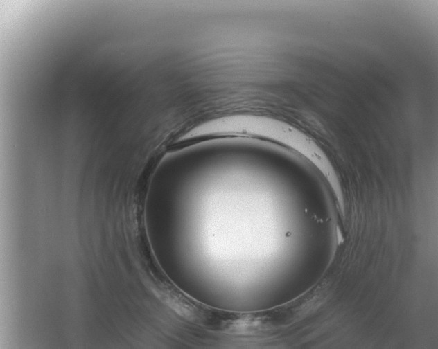 X0000064730366200602131256