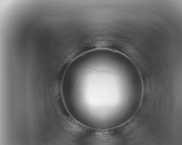 X0000064730367200602131256