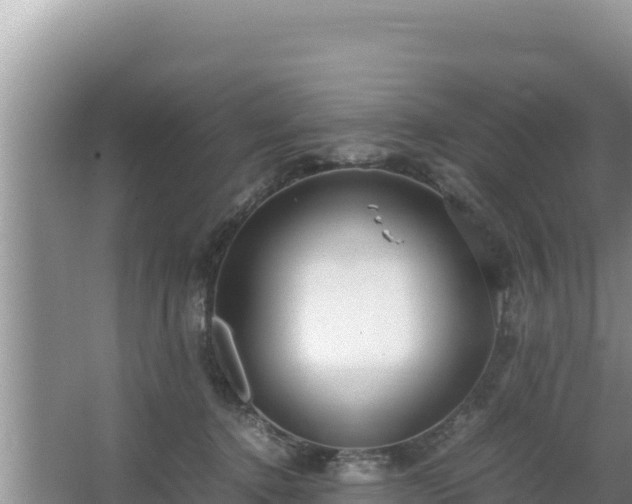 X0000064730368200602131256