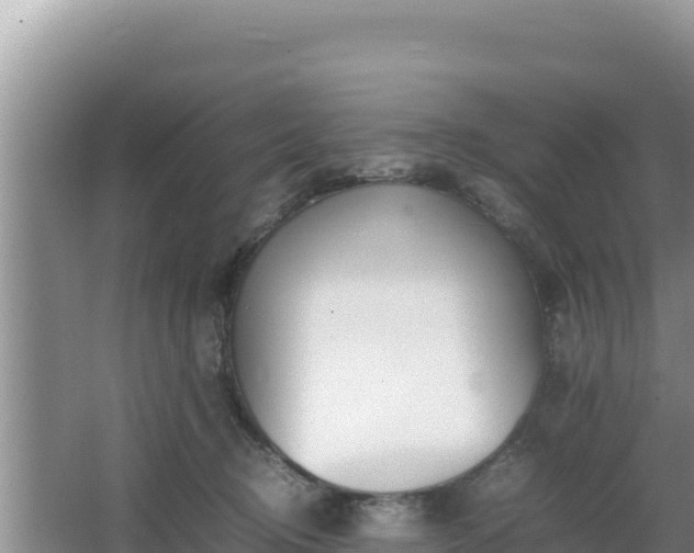 X0000064730370200602131256