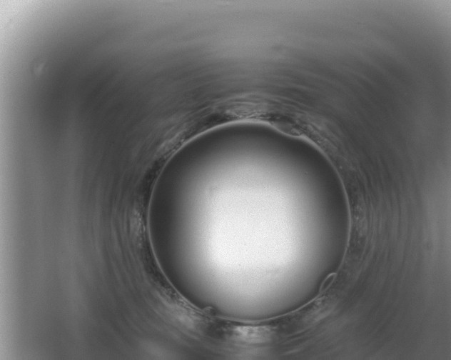 X0000064730371200602131256