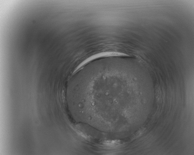 X0000064730375200602131256