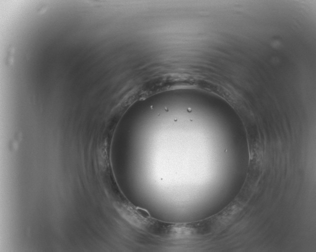 X0000064730376200602131256