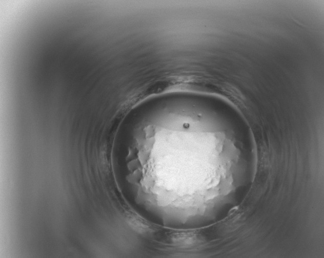 X0000064730377200602131256