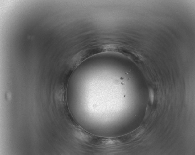 X0000064730379200602131256