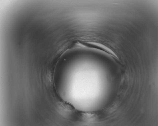 X0000064730380200602131256