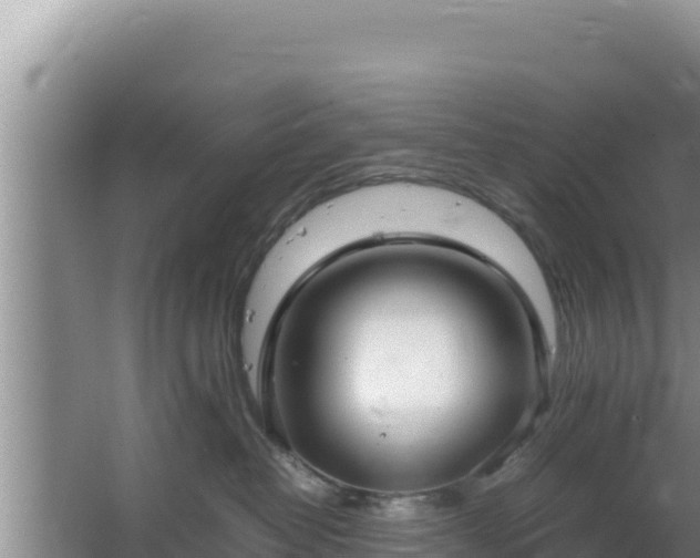 X0000064730382200602131256