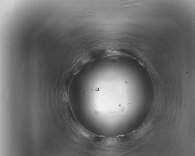 X0000064730384200602131256