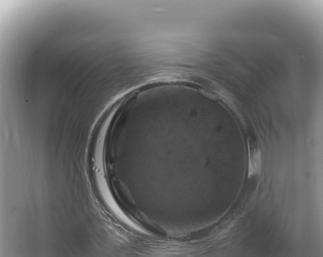 X0000064730387200602131256