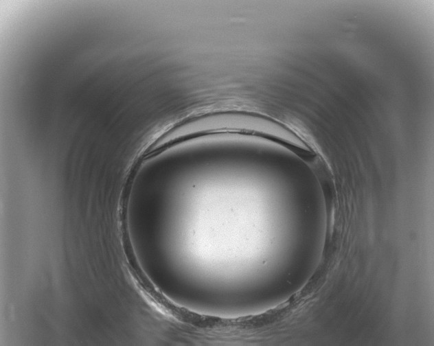 X0000064730389200602131256