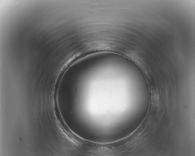 X0000064730390200602131256