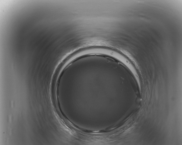 X0000064730391200602131256